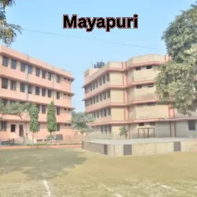 VIP Escorts in Mayapuri